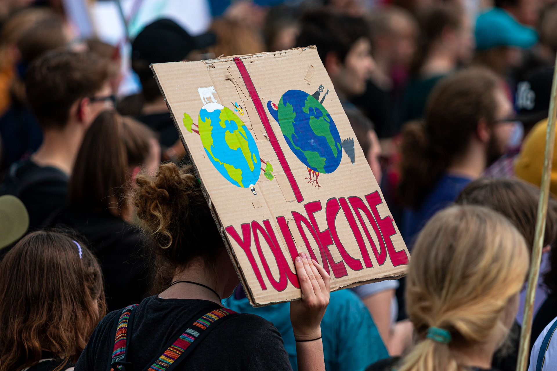 BEN VENGA IL MINISTERO DELLA TRANSIZIONE ECOLOGICA